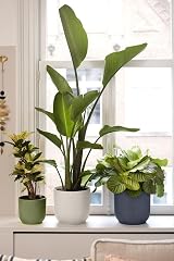 elho Vibes Fold Round 30 Plant Pot 100% Recycled Plastic Black Ø29.5xH27.2 view 8