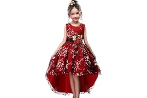 WEONEDREAM Princess Girls Dress for Wedding Birthday Party with Train Size 3-14 Years