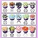 DILISS Russian Piping Tips 27-Pcs Set (15 Russian Tips 10 Disposable Pastry Bags 1 Tri-Color Coupler & 1 Reusable Silicone Pastry Bag)