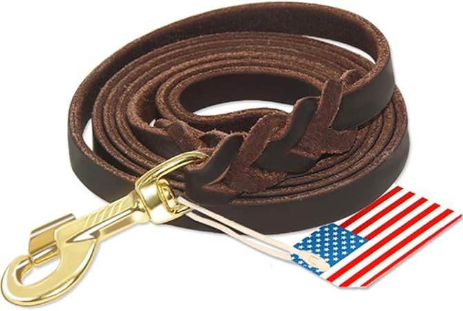 dog belt leather