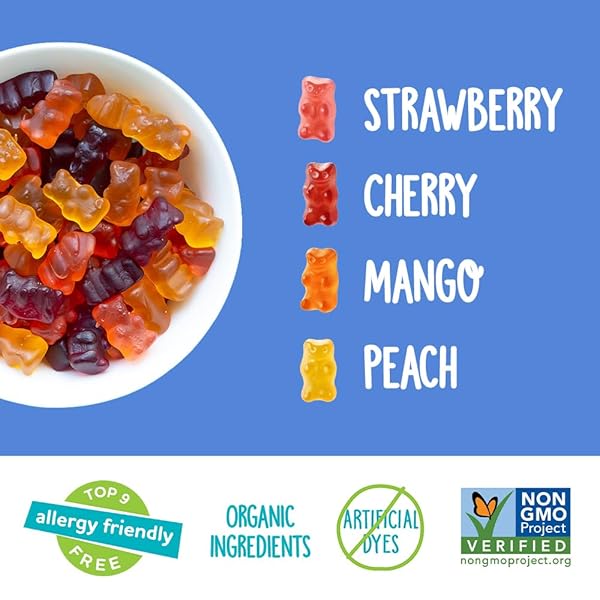 YUMEARTH ORGANIC FRUIT FLAVORED GUMMY BEARS, 10- .7OZ. SNACK PACKS, ALLERGY FRIENDLY, GLUTEN FREE, NON-GMO, DYE FREE