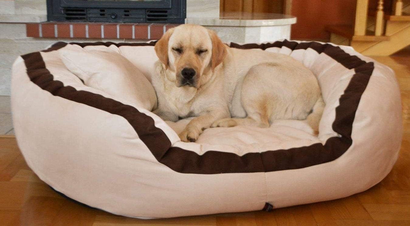 Hiputee Luxurious & Durable Polyester Filled Soft Dual Colour Dog/Cat Bed (XL, Cream Brown)