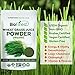 Biofinest Wheat Grass Juice Powder - Pure Freeze-Dried Chlorophyll Superfood - USDA Organic (4oz)