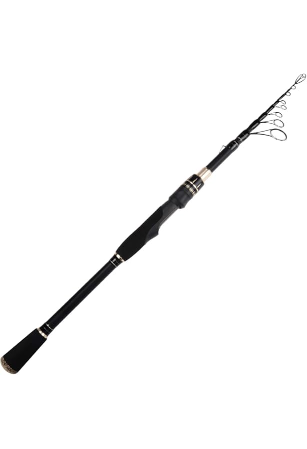 しましては KINGSWELL Telescopic Fishing Rod and Reel Combo， Premium Graphite
