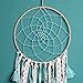 Dremisland Dream Catcher Green Tassel Handmade Bohemian Dream Catchers Wall Hanging Home Decoration Ornament Decor Ornament Craft Gift (Boho Tassel)