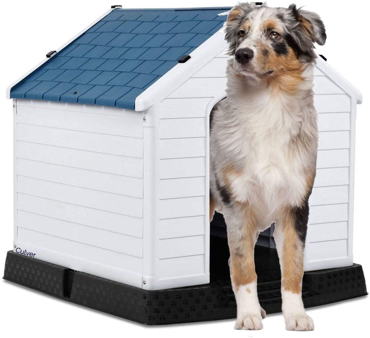 outdoor dog kennel with floor