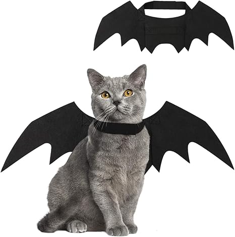 Vavopaw Halloween Ailes De Chauve Souris Pour Animaux De Compagnie Costume De Chat Pour Chat Lapins Chien Noir Amazon Fr Animalerie