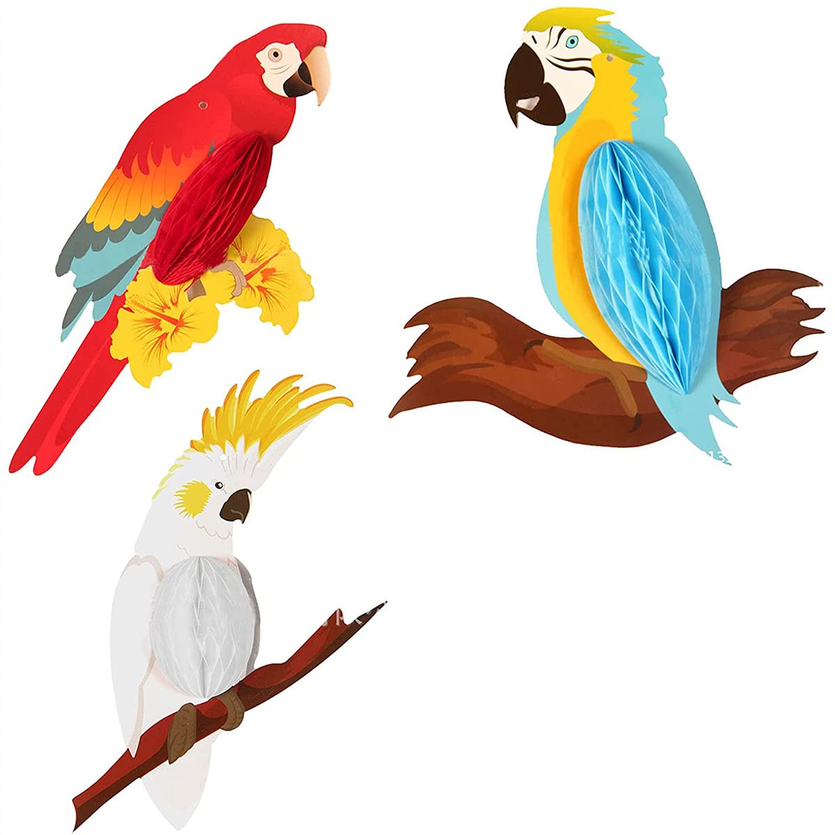 ANCLLO 6 Pcs Tropical Birds Decoration Honeycomb Parrot Tropical Birds Honeycomb Paper Cutouts Bird Ornaments Paper Hanging Party Bird Decorations for Garden Rainforest Hawaiian Jungle Summer Beach