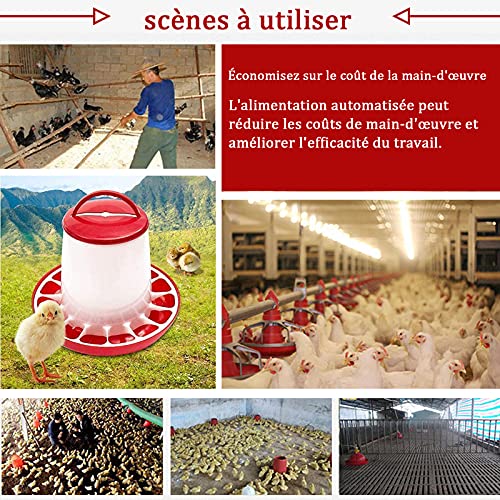 Anjing Futterautomat Hühner 3 kg und Hühnertränke 3l, Futterspender Hühner und Tränke Set für Hühnerfutter,Automatische Wassertränke,Hühner Futtertrog Set,Zubehör Zucht, Farming – Bild 6