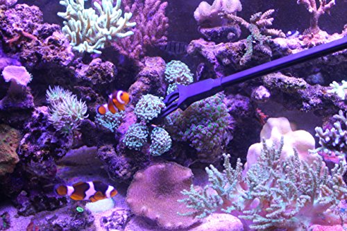 AquaticHI Aquarium Tongs 27 inch (70 cm), 100% Reef Safe, Multi Purpose for Fresh and Saltwater Fish Tanks, Clip Plants, Spot Feed Fish and Coral, Keep Hands Dry and Tank Free from Contamination - Thumbnail 6