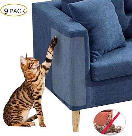 mascotas transparente protector