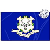 AMZFLAG Connecticut State Flag 3x5 ft Outdoor, Heavy Duty 3 Ply Polyester CT Connecticut Flags with 2 Brass Grommets, Patriotic Double Sided State of Connecticut Flag
