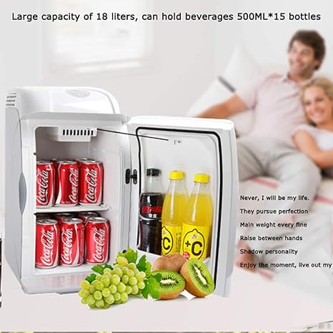 Nevera TermoeléCtrica Nevera Portatil Coche Camión 24V/12V/220 ...