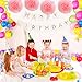 Blulu Happy Birthday Bunting Banner with 4 Pieces Pink Tissue Paper Pom Poms for Birthday Party
