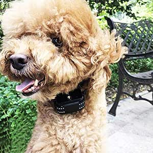 rechargeable citronella bark collar