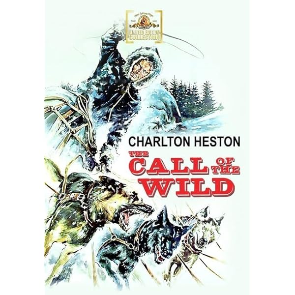 Amazon.com: Call of the Wild 2: Foxfire : Shane Meier, David