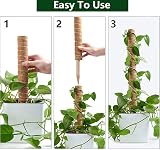 MABUSIYI Moss Pole 2-Pack 40CM Coir Moss Pole for Monstera Pothos Indoor view 4