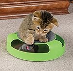 Resulzon Kitten Cat Games Toy With Fun Catching Rotating Spinning Mouse Scratch Pad