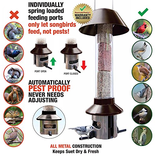Roamwild Pestoff Squirrel Proof All Metal Double Suet Cake Block