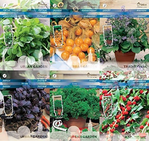 Seklos LT Annual HERB Seed Collection - 6 in 1 Packet