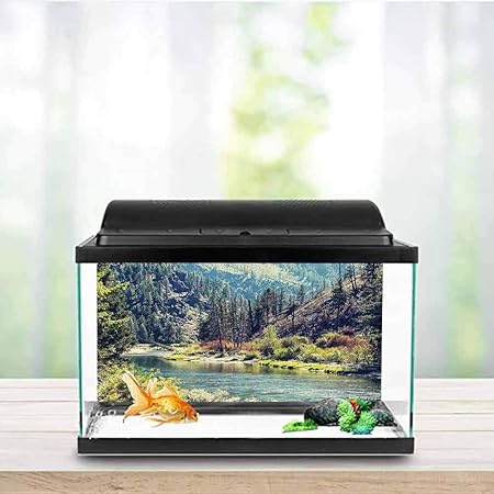 fish tank house decoration