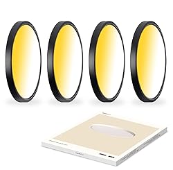 CycevSun 12 Inch Black Flush Mount Ceiling