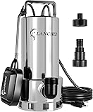 LANCHEZ 1.6HP Stainless Steel Sump Pump, 5500GPH