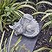 Besti Decorative Outdoor Dragon Garden Statue - Cold Cast Ceramic Statue | Lawn and Yard Decoration | Weather-Resistant Finish