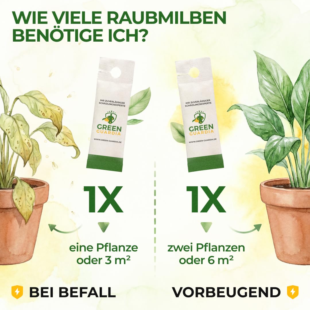 GREEN GUARDIA Power Raubmilben gegen Spinnmilben – 10 Tüten - Biologisches Mittel zur effektiven Spinnmilben Bekämpfung für Zimmer- & Zierpflanzen sowie Canna. – chemiefreie Mittel 3