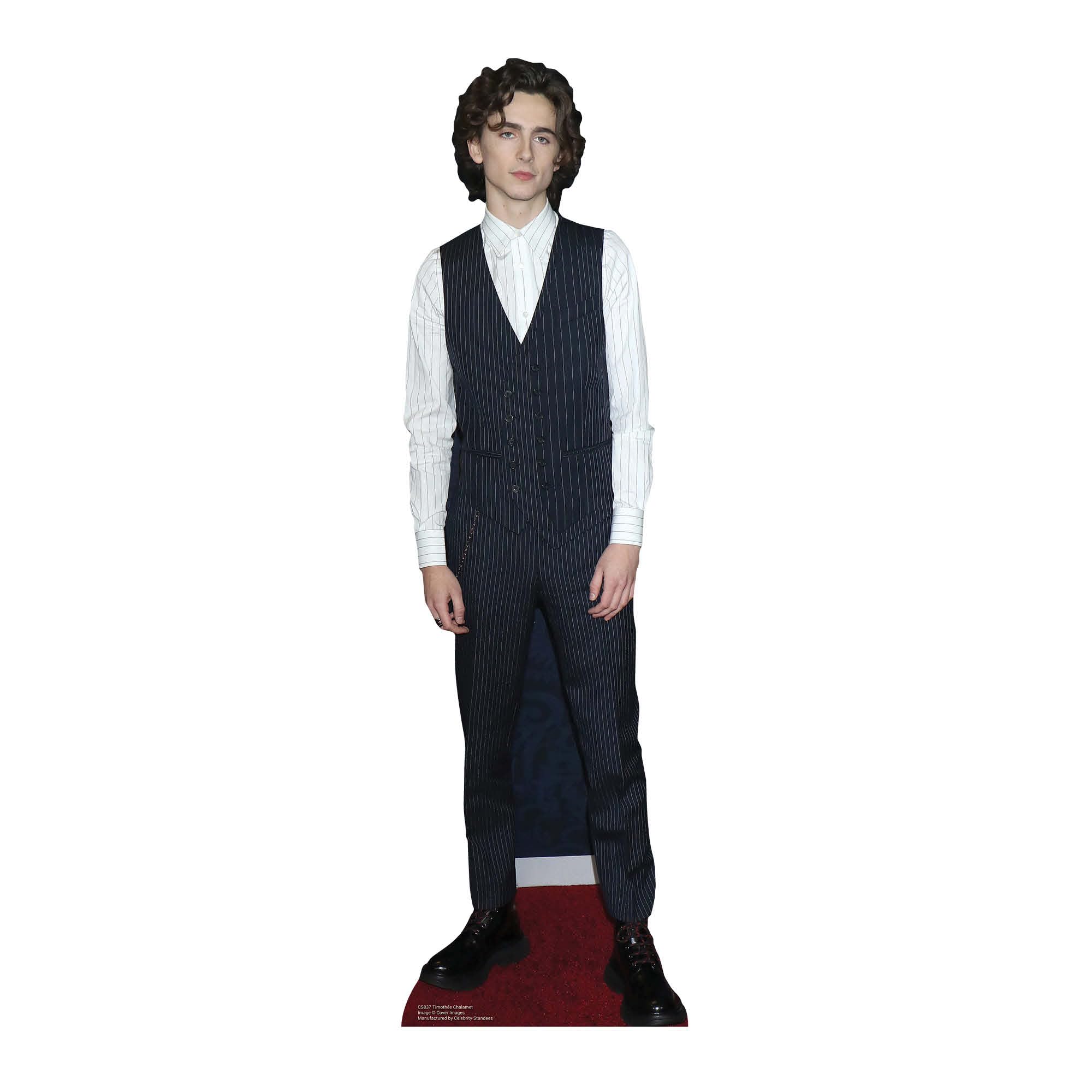 STAR CUTOUTS CS837 Timothee Chalamet Cardboard Cutout Height 89cm Width 26cm, Solid, Multicolour, Regular