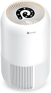 Purificateur d'air à filtre HEPA de Dreamegg