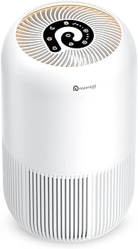 Purificateur d'air à filtre HEPA de Dreamegg