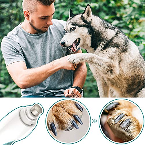 Dog Nail Grinder Electric Pet Nail Trimmer Clippers for Small Medium Large Breed Dog&Cat -Upgraded Professional 3-Speed Electric Recharging Animals Nail Grinder Gentle Painless Paws Grooming Smoothing - Thumbnail 6