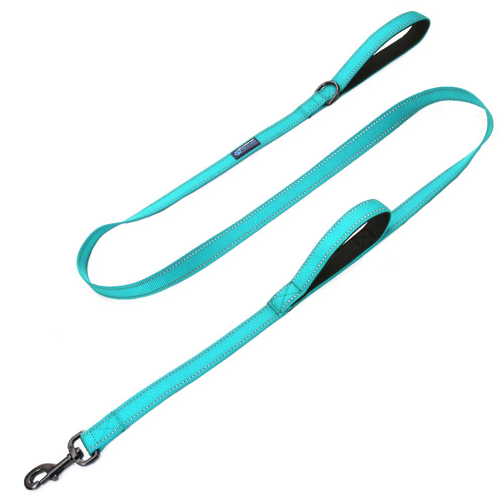 Max and Neo Double Handle Traffic Dog Leash - 6 FT, Teal, Donates a Leash to Dog Rescue for Every Purchase