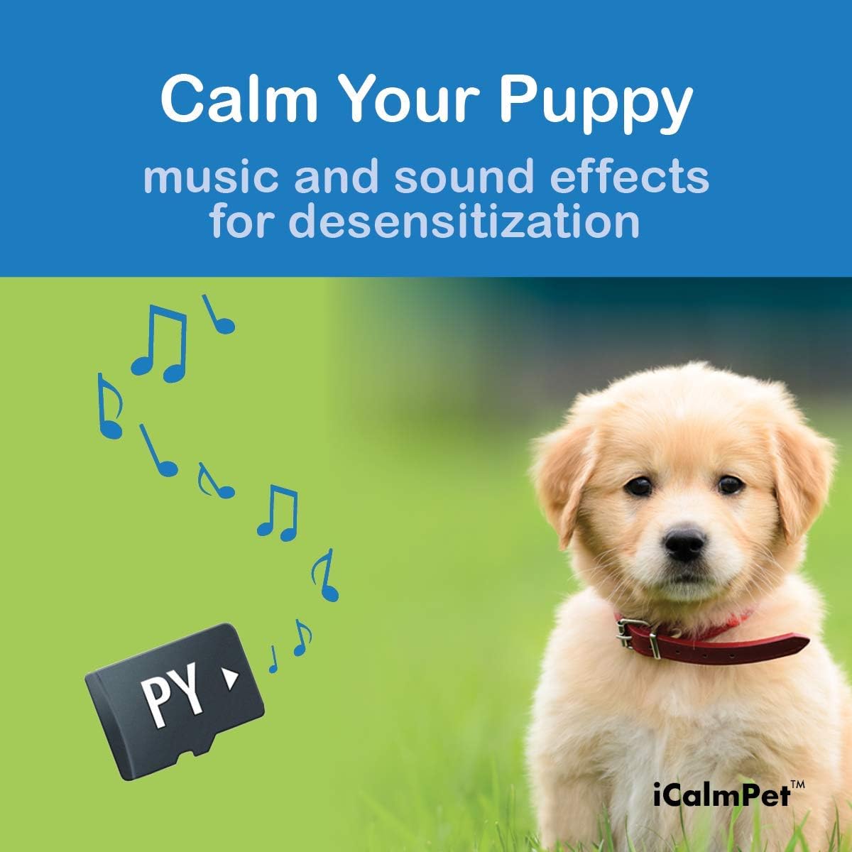 calming sounds for puppies
