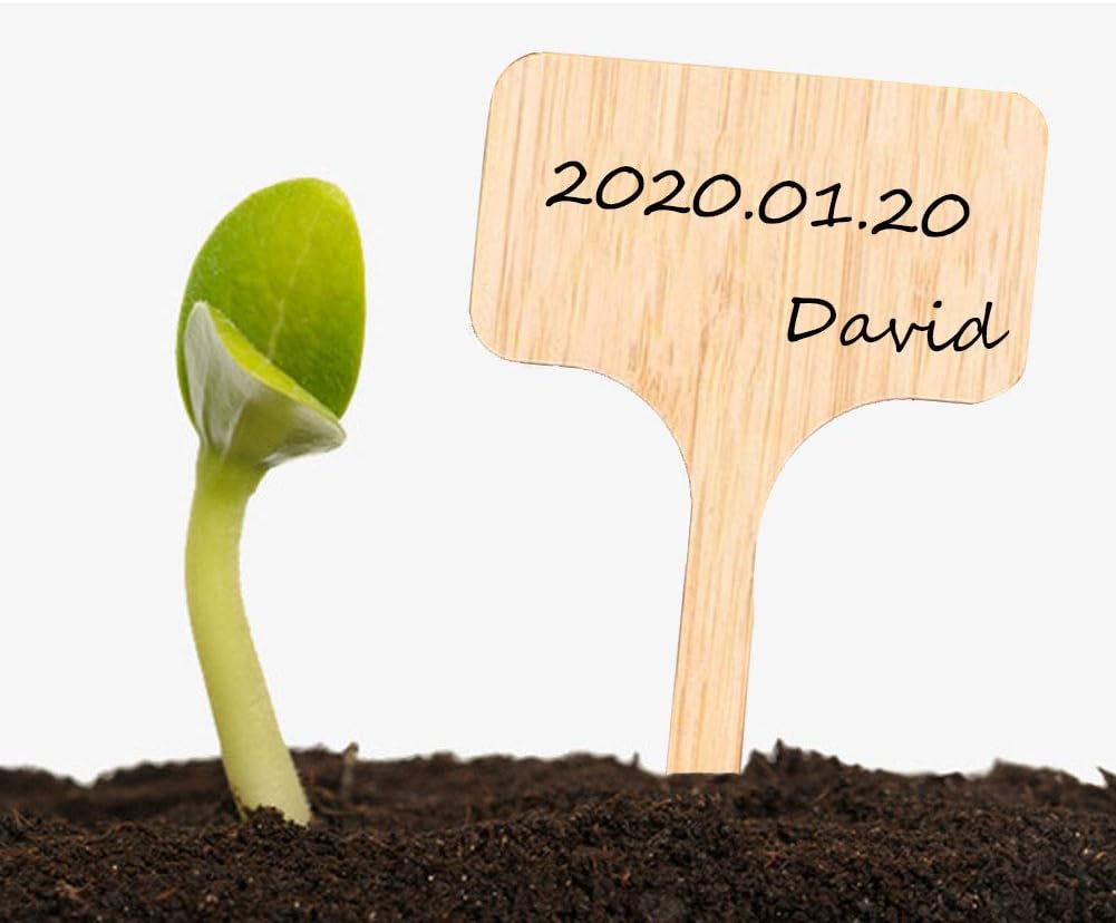 ANBET 60 Piezas Etiquetas de Plantas de bambú, 50 Piezas Etiquetas ...