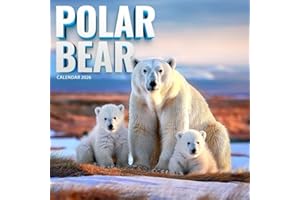 Polar Bear 2026 Calendar: Arctic Majesty and Frozen Beauty