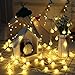 Battery Operated Globe String Lights, CMYK 14.6ft 40 LED Waterproof Fairy Lights Backyard Patio Lights, Decor for Trees, Garden, Party, Christmas, Holiday (Warm White)