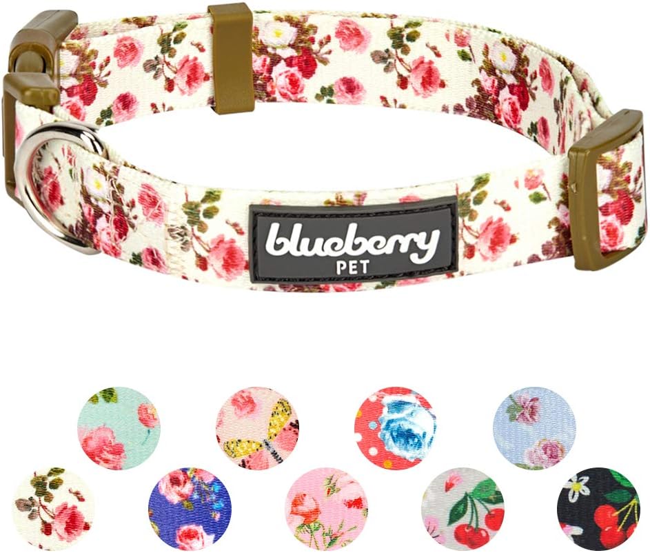 61UDOpqd46L. AC SL1000