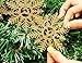 luck sea 72PCS Snowflake Christmas Tree Ornaments Decorations Hanging Decor Xmas Winter Wonderland Holiday Themed Party Supplies
