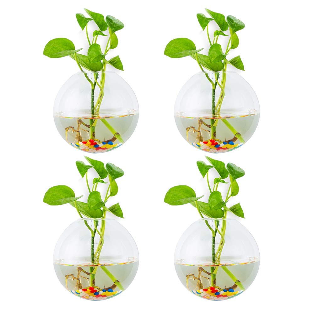 Glasseam Wall Hanging Glass Planters 4Pcs Spherical Shape Plant Pots Terrarium Container Vase with 4.24 OZ Colorful Stones Indoor Outdoor for Home Garden Office Wedding