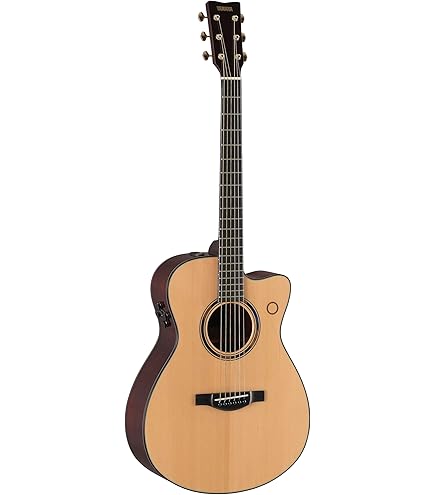 Amazon.com: Yamaha L-Series Transacoustic Guitar with Hard Gig Bag