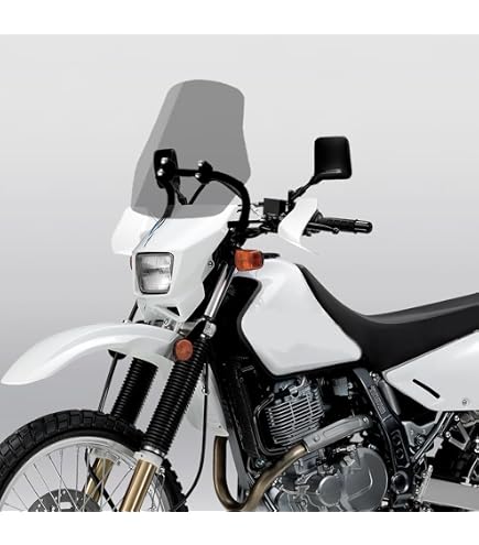 Amazon.com: Zeta ZE70-1001 Adventure Windscreen : Automotive