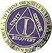 RecoveryChip 1 Year AA Medallion Reflex Purple Gold Plated Chip