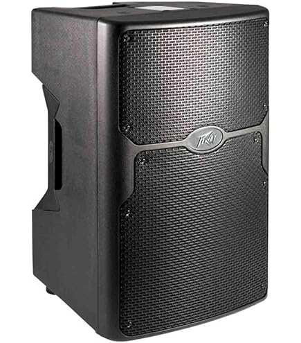 Amazon.com: Peavey Pvx15 Pro Audio DJ Passive 800W 15