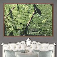 Framed Canvas Wall Art Greenlands Aerial Dark Farmhouse/Country Green Nature Photography Realism Relax/Calm - 16x24 inches