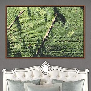 signwin Framed Canvas Wall Art Greenlands Aerial Dark...