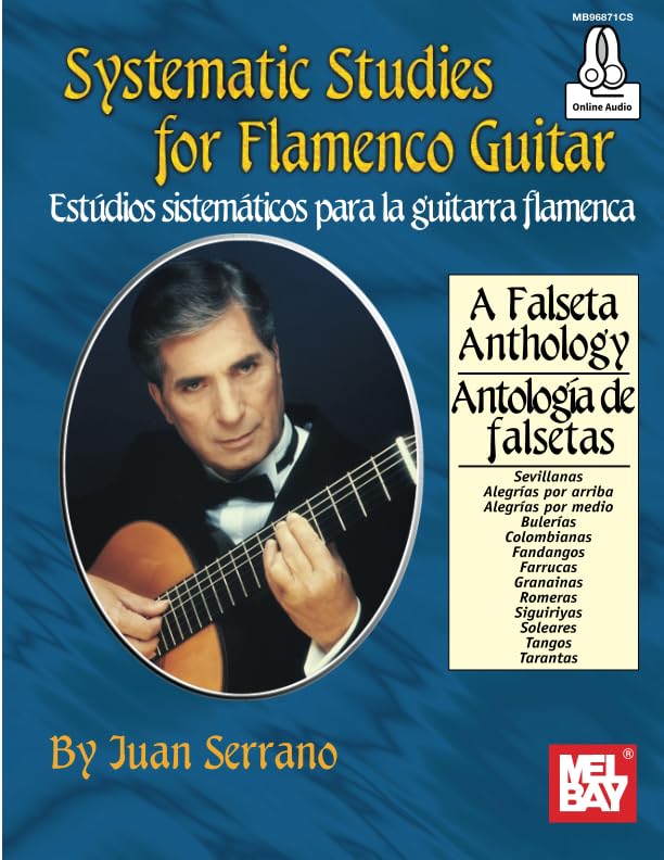 Systematic Studies for Flamenco Guitar