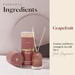 Paddywax Petite Collection Scented Oil Reed