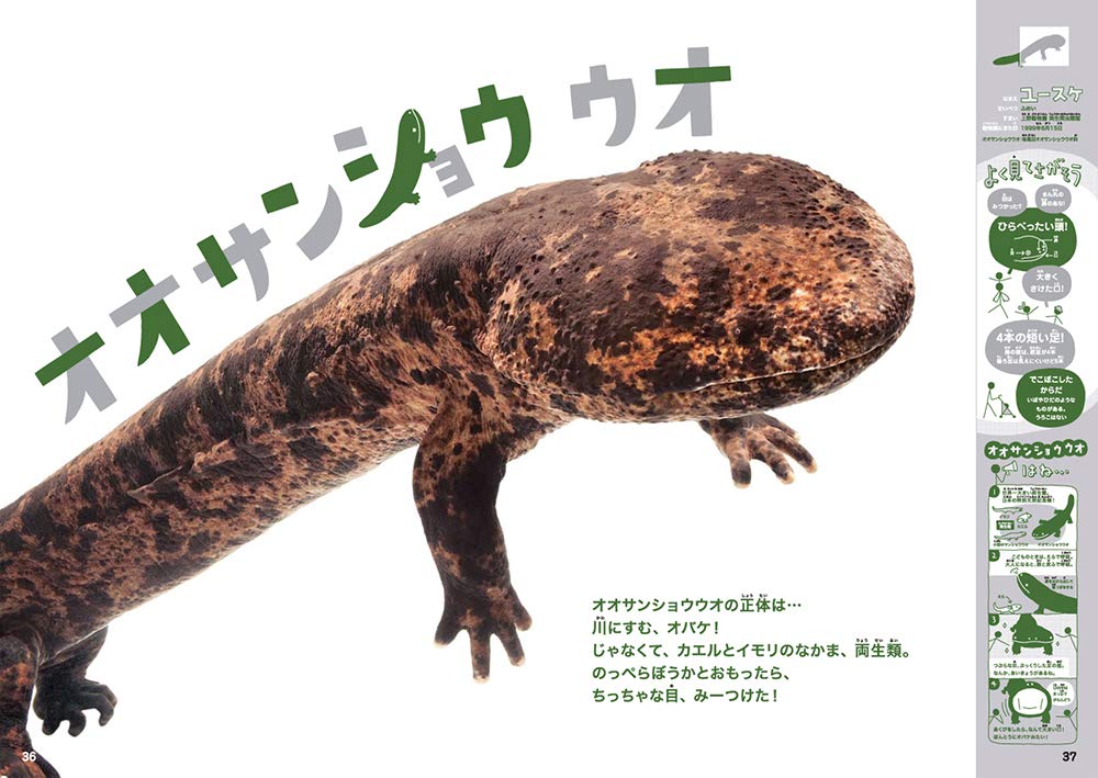 Size Of The Aquarium Really Isbn 10 Japanese Import Teruyuki Komiya Toshimitsu Matsuhashi Akio Kashiwara Masae Takaoka Amazon Com Books